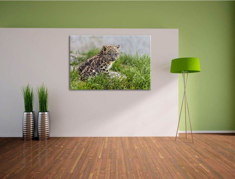 junger Leopard im Gras Leinwandbild im Flur