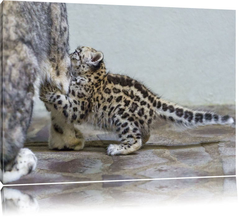 kleiner Leopard beim Spielen Leinwandbild