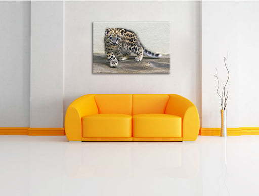stolzierendes Leopardenjunges Leinwandbild über Sofa