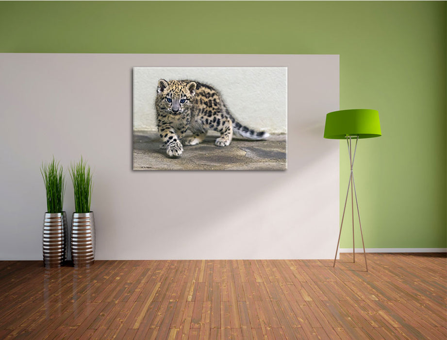 stolzierendes Leopardenjunges Leinwandbild im Flur