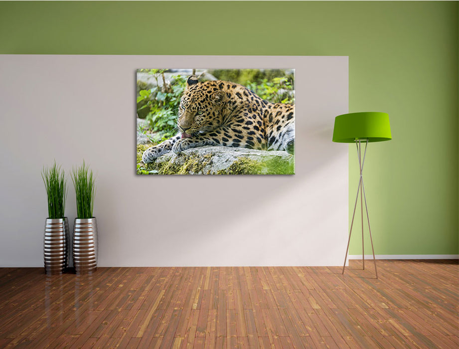 Leopard beim Putzen Leinwandbild im Flur