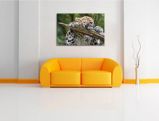 verspielter Leopard Leinwandbild über Sofa