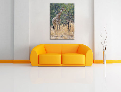 Giraffe beim Fressen Leinwandbild über Sofa