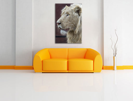 prächtiger weißer Löwe Leinwandbild über Sofa