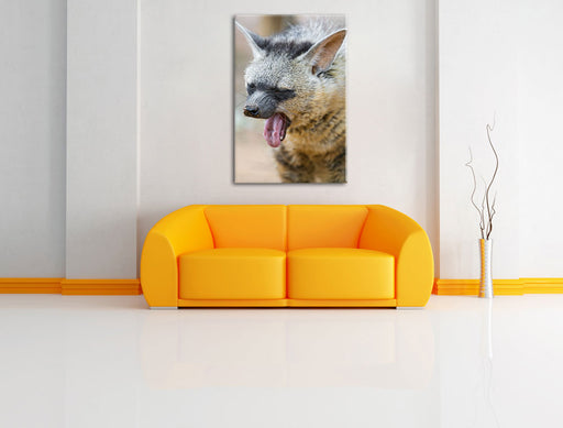 müde Hyäne Leinwandbild über Sofa
