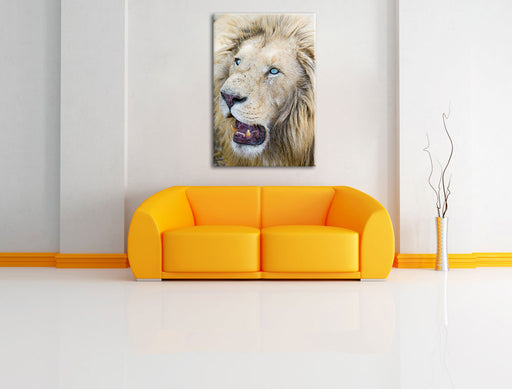 schöner weißer Löwe Leinwandbild über Sofa