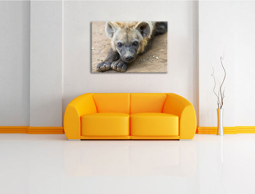 niedliche Hyäne Leinwandbild über Sofa