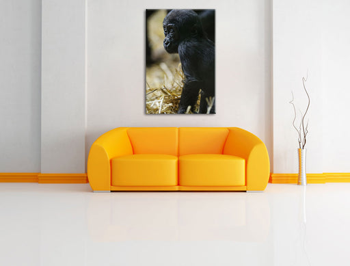 kleines Gorillajunges Leinwandbild über Sofa