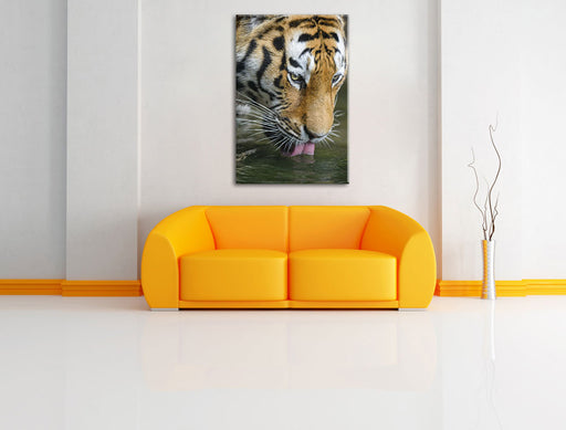 Tiger trinkt Leinwandbild über Sofa