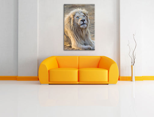 anmutiger weißer Löwe Leinwandbild über Sofa