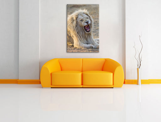brüllender weißer Löwe Leinwandbild über Sofa