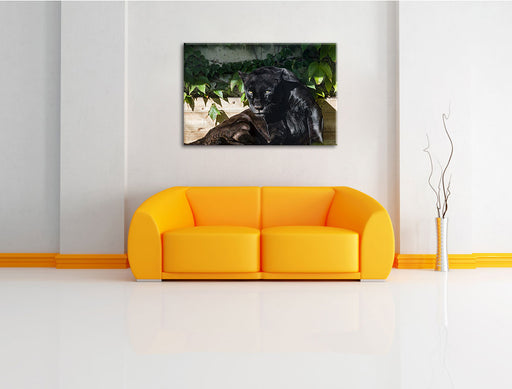 schwarzer Panther Leinwandbild über Sofa
