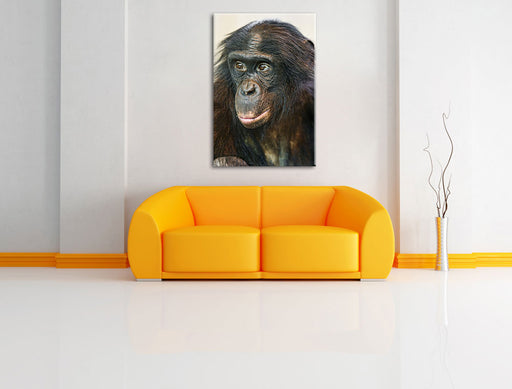 scheuer junger Gorilla Leinwandbild über Sofa