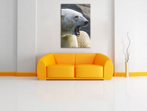 brüllender Eisbär Leinwandbild über Sofa