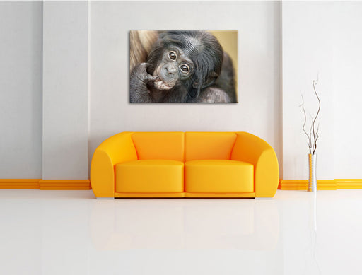 süßes Orang-Utan-Junges Leinwandbild über Sofa