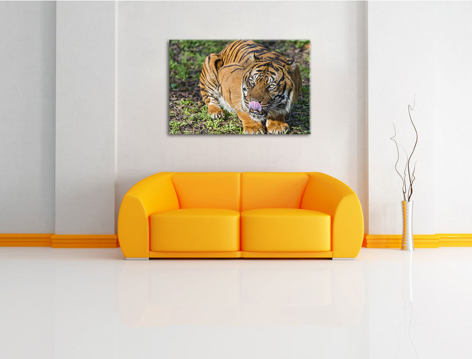 großer Tiger Leinwandbild über Sofa