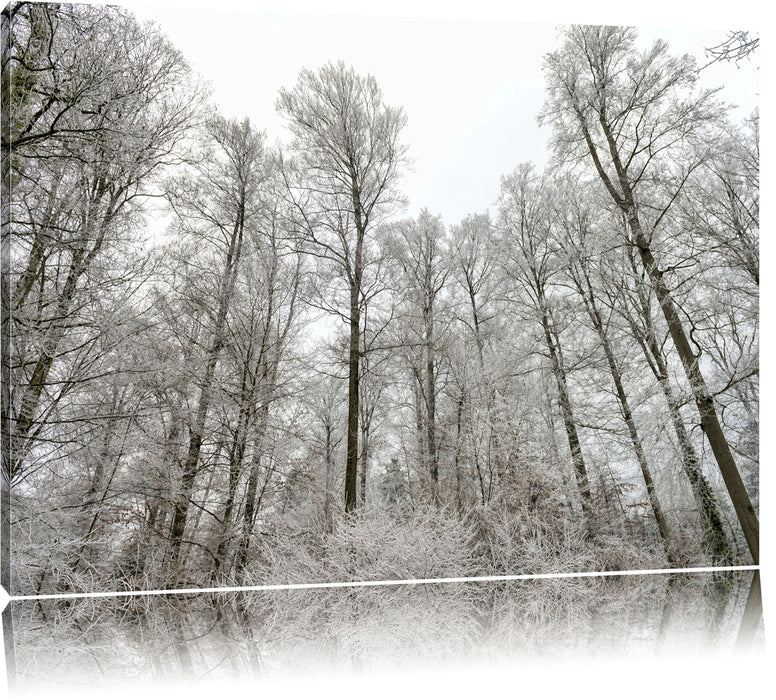 verschneiter Wald Leinwandbild