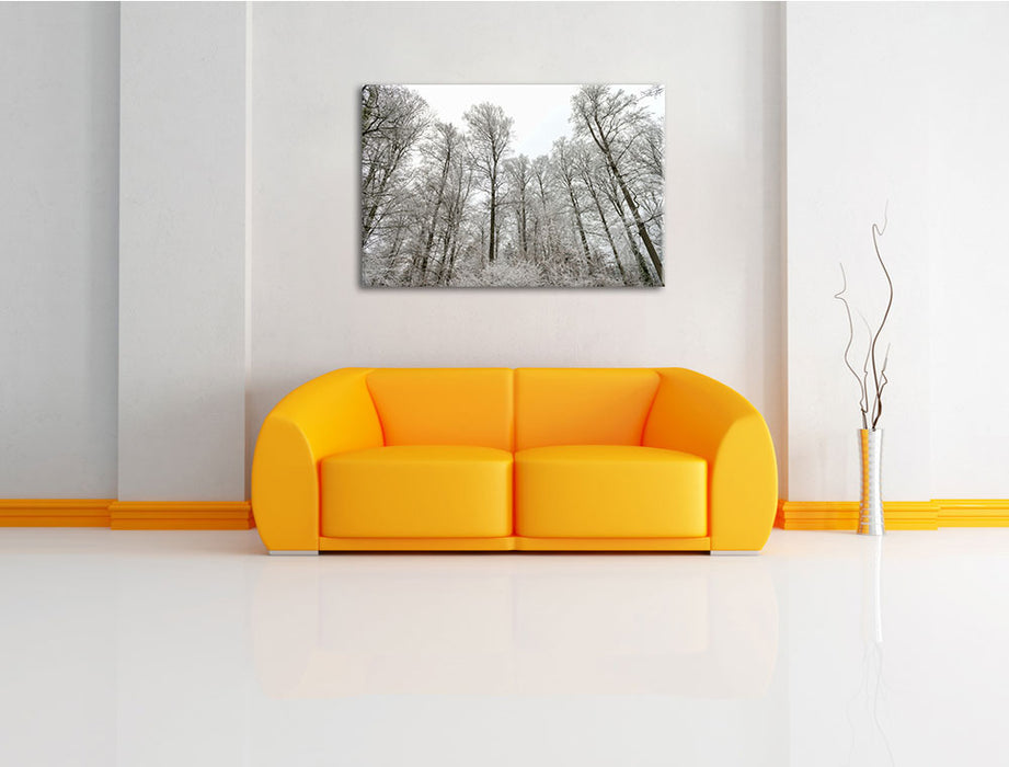 verschneiter Wald Leinwandbild über Sofa