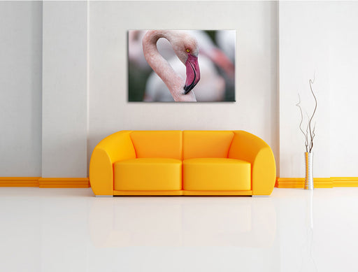 prächtiger Flamingo Leinwandbild über Sofa