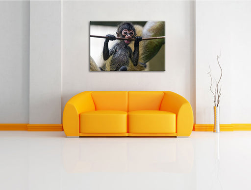 Orang-Utan-Junges isst Leinwandbild über Sofa