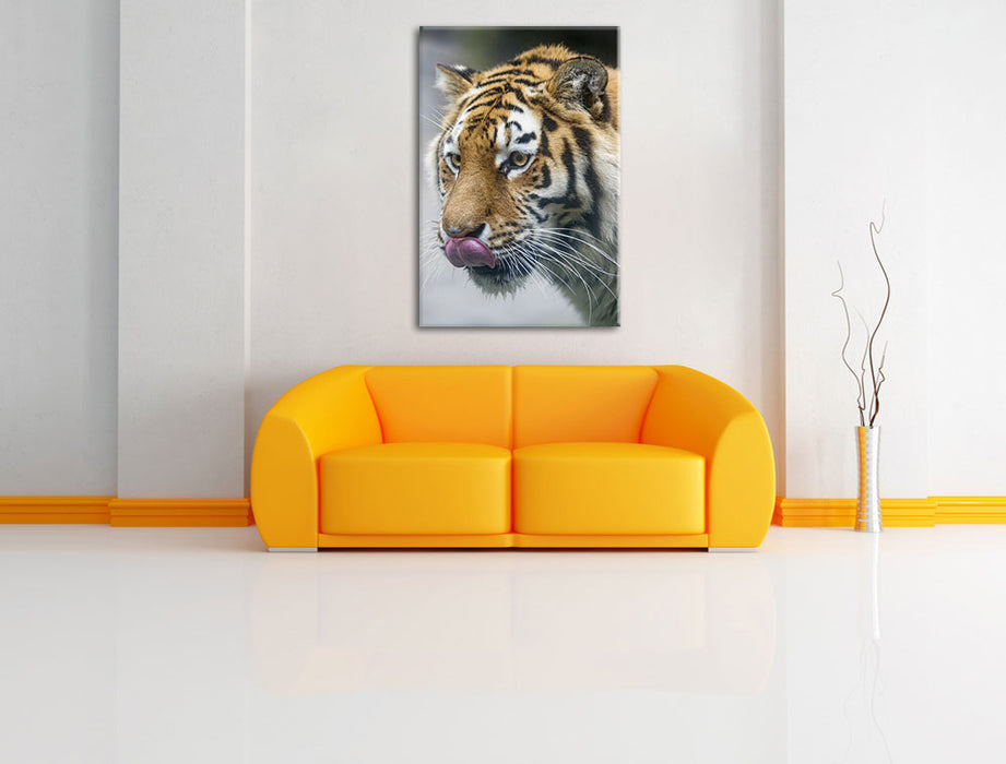 anmutiger Tiger Leinwandbild über Sofa