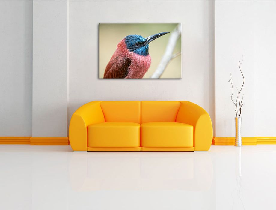 kleiner tropischer Vogel Leinwandbild über Sofa