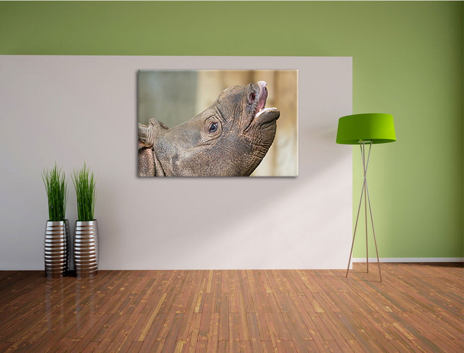 kleines Nashorn Leinwandbild im Flur