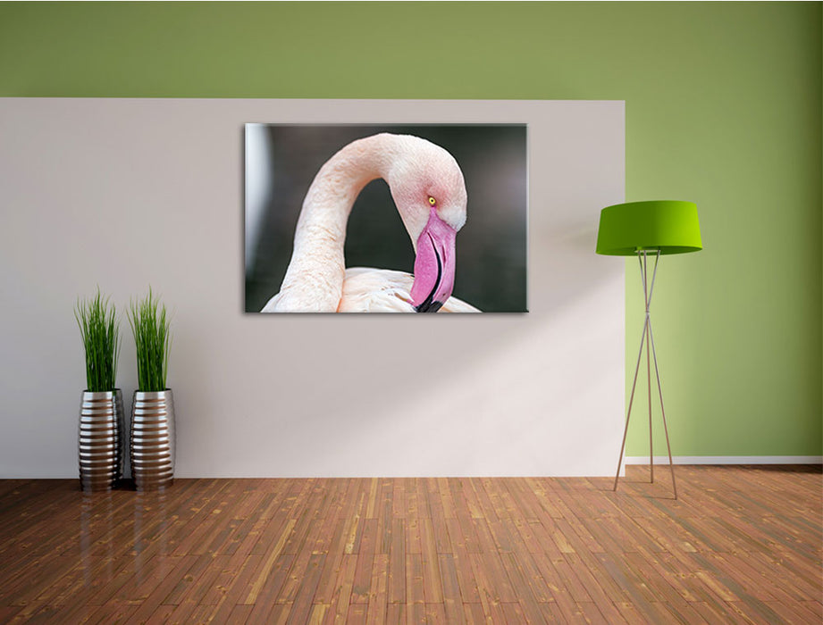 Flamingo beim Putzen Leinwandbild im Flur