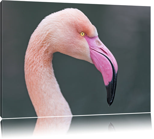 Flamingo im Seitenprofil Leinwandbild