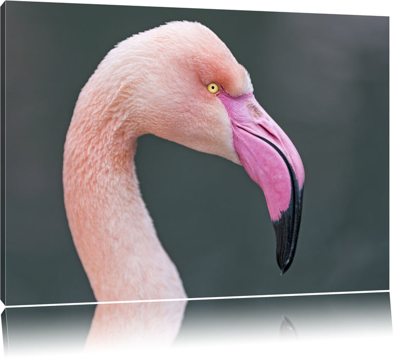 Pixxprint Flamingo im Seitenprofil, Leinwandbild