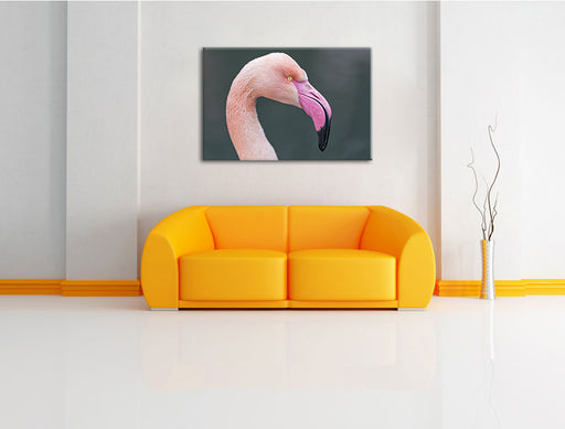 Flamingo im Seitenprofil Leinwandbild über Sofa