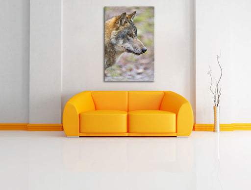 anmutiger Wolf Leinwandbild über Sofa