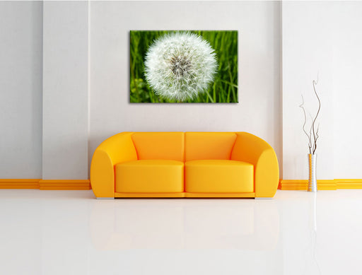 klassische Pusteblume Leinwandbild über Sofa