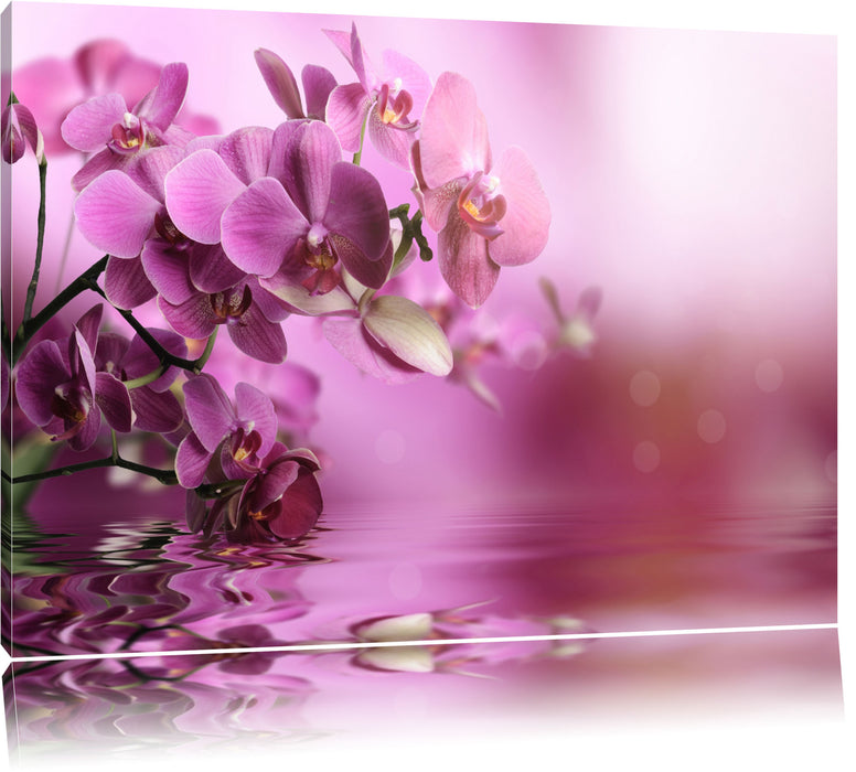 Pixxprint Wunderschöne Orchideenblüten, Leinwandbild