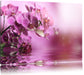 Wunderschöne Orchideenblüten Leinwandbild