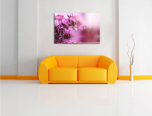 Wunderschöne Orchideenblüten Leinwandbild über Sofa