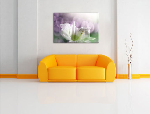 Sanfte Weiße Lilie Leinwandbild über Sofa
