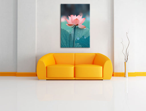 Zarte rosafarbener Lotus Leinwandbild über Sofa