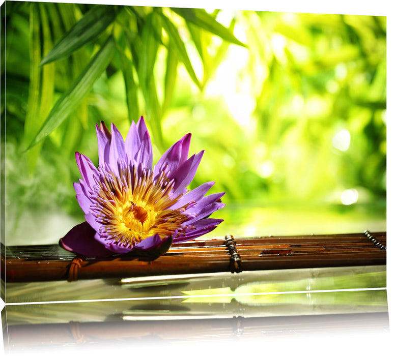 Pixxprint Seerose auf Bambus Wellness, Leinwandbild