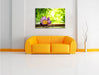Seerose auf Bambus Wellness Leinwandbild über Sofa