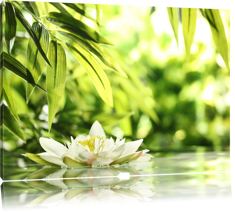 Pixxprint Weiße Seerose im Wasser Wellness, Leinwandbild