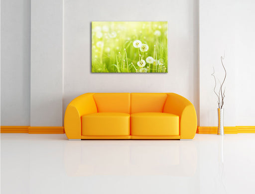 Pusteblumen auf Frühlingswiese Leinwandbild über Sofa