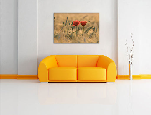 Zwei schöne Mohnblumen Leinwandbild über Sofa