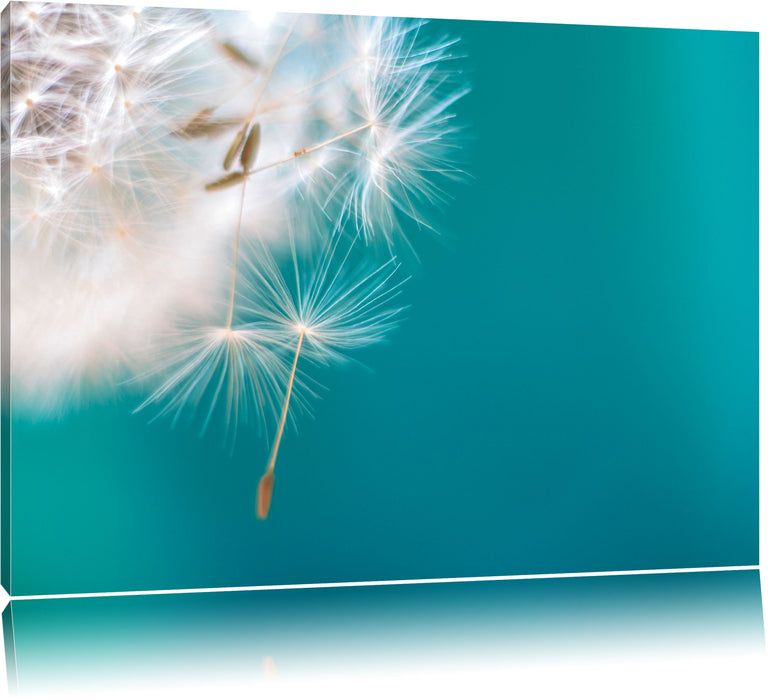 Pixxprint Wunderschöne Pusteblume, Leinwandbild