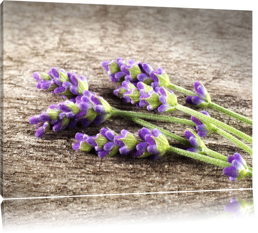 Liegender frischer Lavendel Leinwandbild