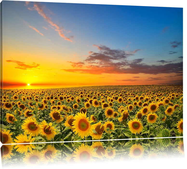 Pixxprint Sonnenuntergang Sonnenblumen, Leinwandbild