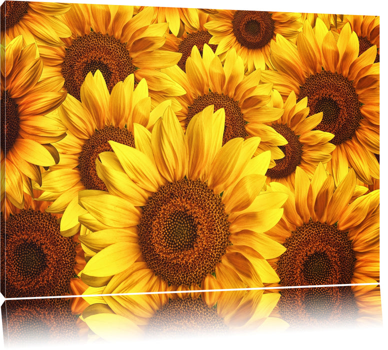 Pixxprint Sonnenblumentraum, Leinwandbild