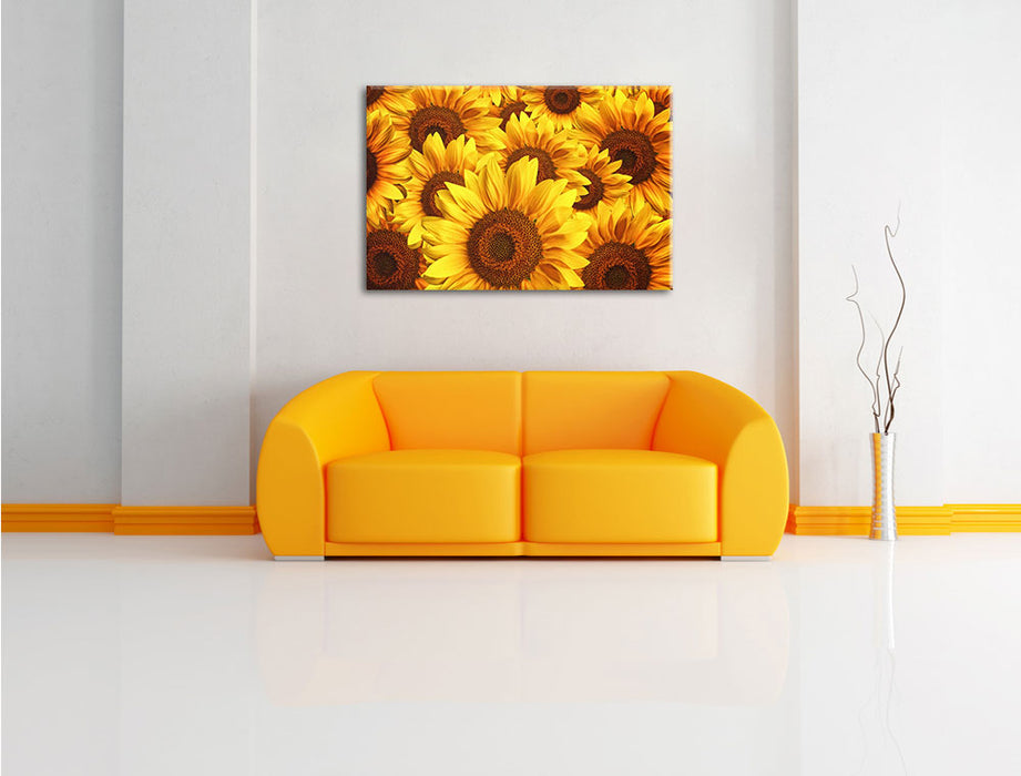 Sonnenblumentraum Leinwandbild über Sofa