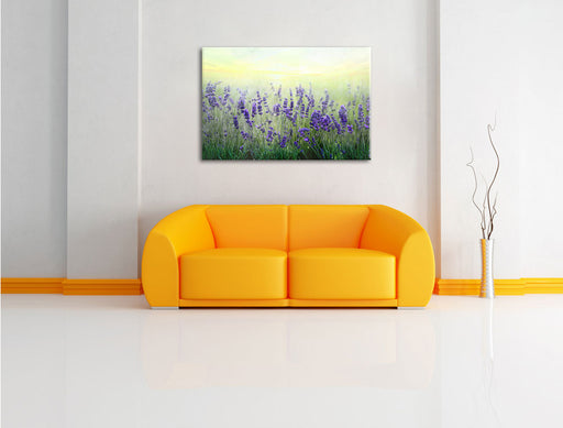 Schöner Lavendel im Regen Leinwandbild über Sofa