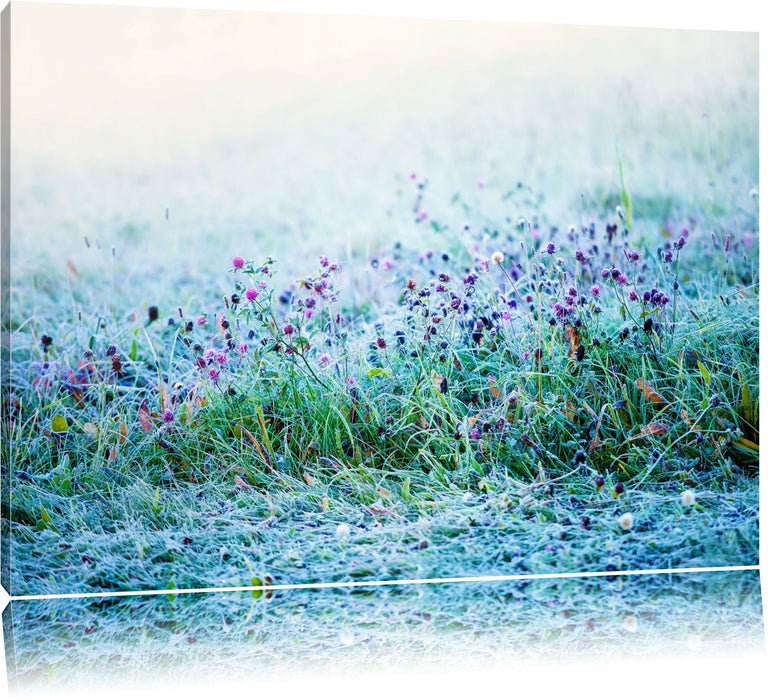 Pixxprint Lila Distel Feld im Retro Look, Leinwandbild